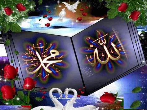 Muhammad Name Wallpaper Wallpapersafari
