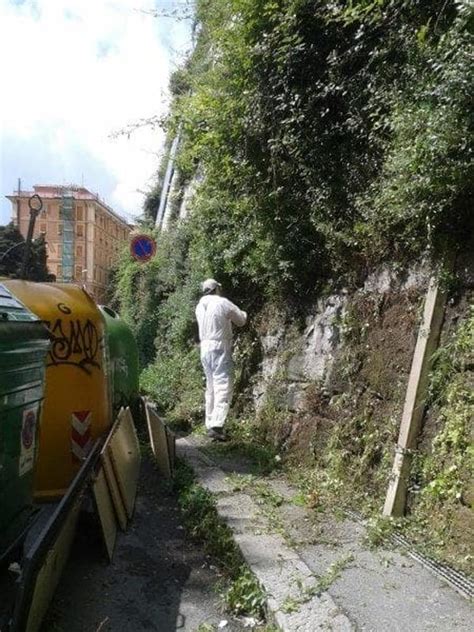 Parietaria E Sporcizia In Via Napoli I Residenti Puliscono I