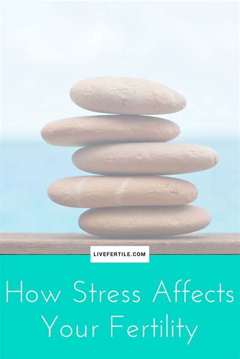 How Stress Affects Your Fertility — Live Fertile