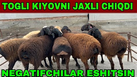 TOGLI KIYOVNI JAXLINI CHIQARISHDI NEGATIFCHILAR☎️90-831-82-84 - YouTube