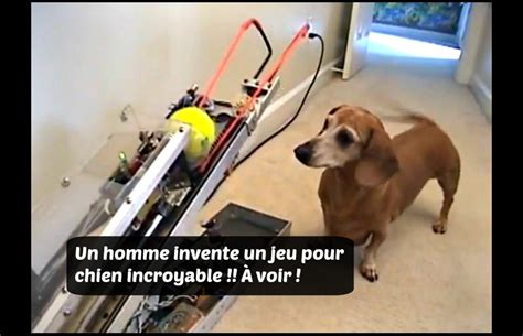 Tout à fait génial Une machine inventée pour servir de compagnon de