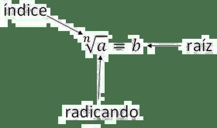 Aprende F Cilmente A Calcular La Ra Z Cuadrada De Un N Mero