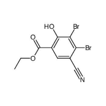 ABCAM Anti non muscle Myosin IIA抗体 EPR8965 BSA and Azide free