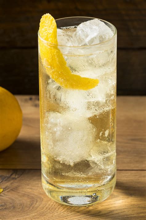 20 cócteles clásicos de highball para probar El Comensal