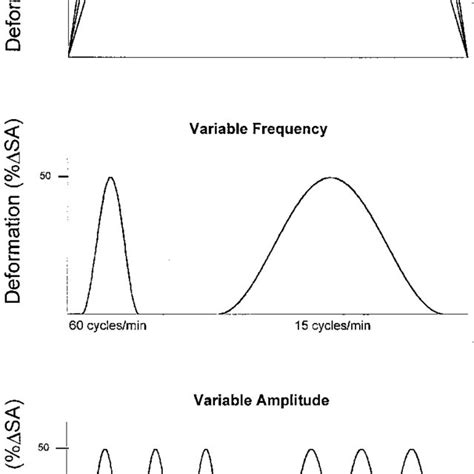 Schematic Representation Of The Various Deformation Protocols Used In