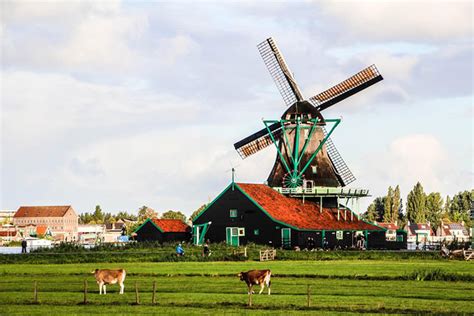 Amsterdam Zaanse Schans Volendam Marken