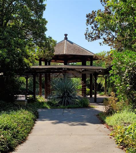 Portraits at the UC Davis Arboretum - Derek Giovanni Photography