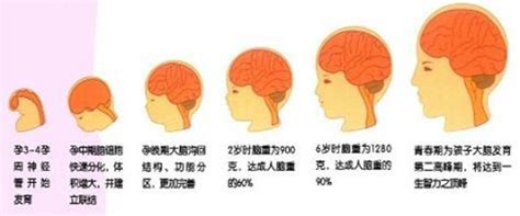 胎儿大脑发育的高峰期，准妈妈该做些什么？凤凰网