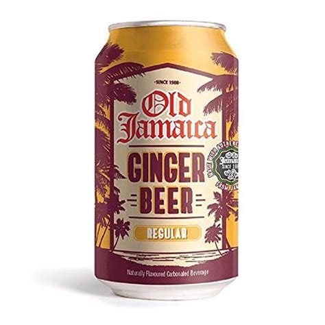 10 Best Ginger Beer Brands For Drinking And Mixing