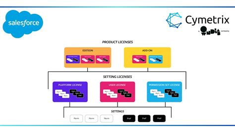 Understanding Salesforce License Types For Optimization And Cost Reduction