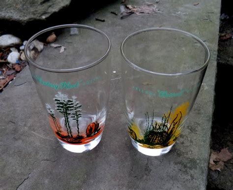 Blakely Gas Station Drinking Glasses Cactus Designs