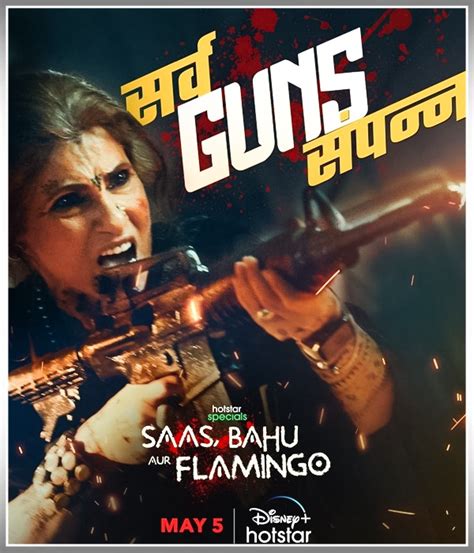 Saas Bahu Aur Flamingo Episodes Online Saas Bahu Aur Flamingo Cast