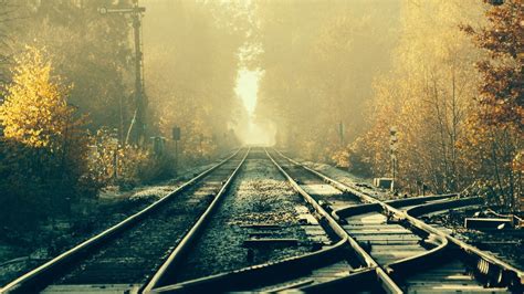 Wallpaper Sunlight Forest Vehicle Train Railway Morning Tracks