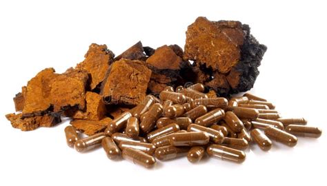 Chaga Mushroom With Capsules Isolated On White Background Healthy