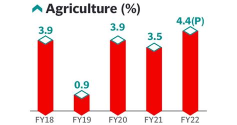 Agriculture Sector Growth Stays Robust