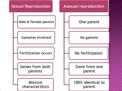 Form 3 Science Chapter 4 Reproduction 2