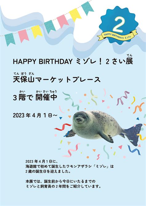 （終了しました）海遊館生まれのワモンアザラシ「ミゾレ」の特別展を開催します｜海遊館ニュース｜海遊館とつながる｜海遊館