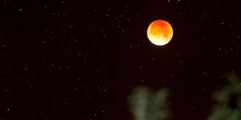 'Blood moon' and lunar eclipse captivate stargazers around the world