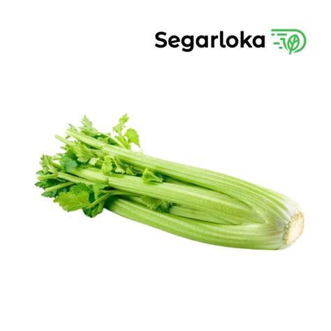 Jual Seledri BATANG 1 Kilo Celery STICK Best In Town Di Lapak