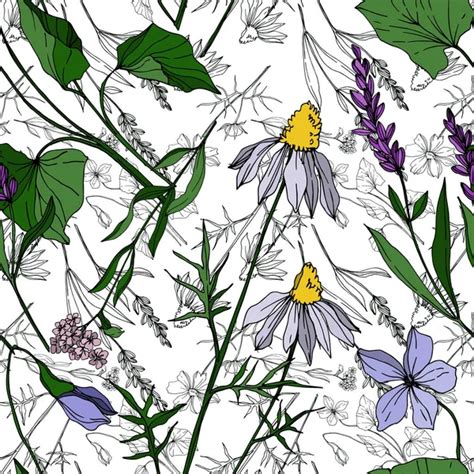 Vector Wildflower flores botánicas florales Tinta grabada en blanco y