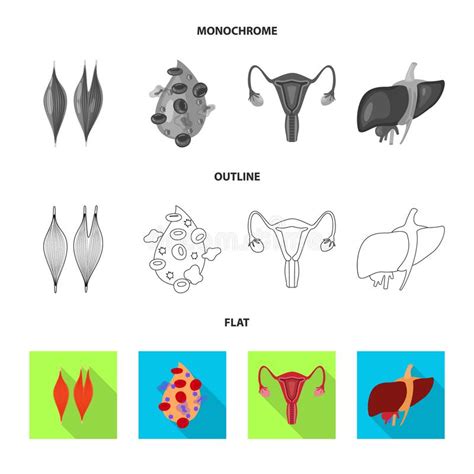 Vector Design Of Biology And Scientific Symbol Collection Of Biology