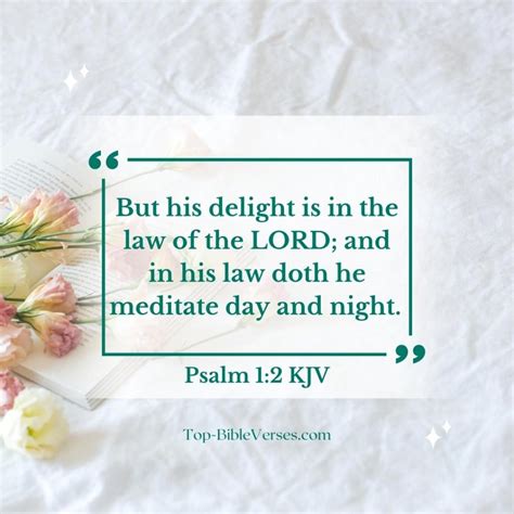 Psalm 1 2 Bible Verse Dp Images But His Delight Is In The Law Of The Lord