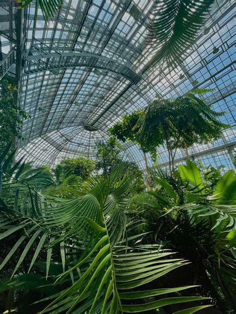 Jardin Botanique De Berlin En 2022 Jardin Botanique Botanique Jardins