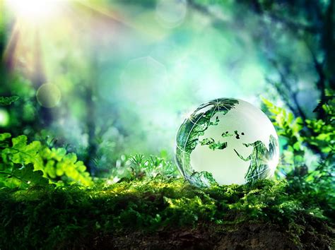 42 Earth Day Environment Day Hd Wallpaper Pxfuel