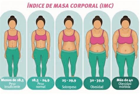 Obesidad y sobrepeso así puedes evitarlos y mantenerte en forma