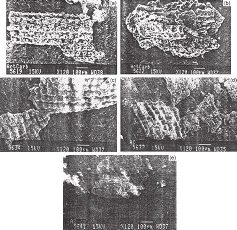 Scanning Electron Microscopy Micrographs Of Activated Husk Ash Produced