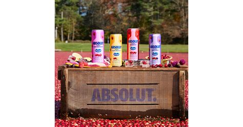 ABSOLUT® INTRODUCES A NEW ERA OF THE VODKA CRAN™ WITH THE ABSOLUT VODKA ...