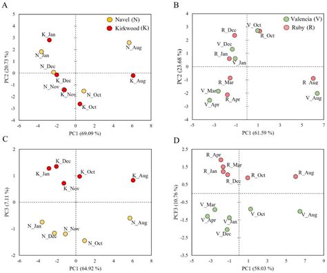 Antioxidants Free Full Text Bioactive Compounds Nutritional