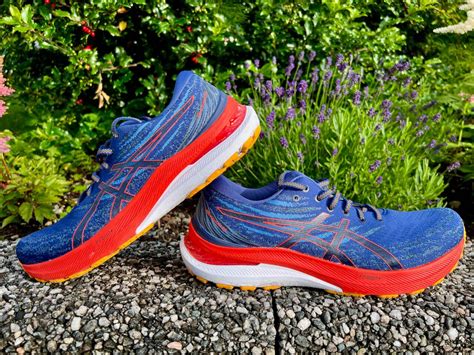 Test: ASICS GEL-Kayano 29