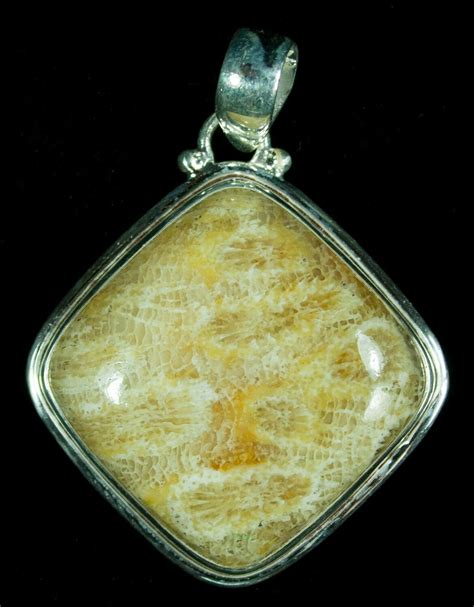 Fossil Coral Pendant - Sterling Silver (#6007) For Sale - FossilEra.com