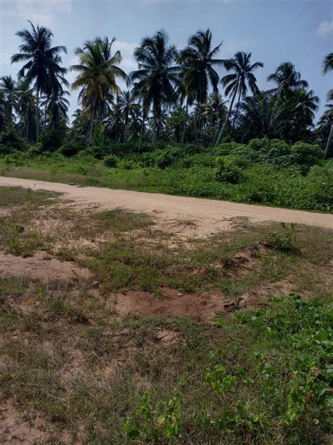 VENTE DE TERRAIN A JACQUEVILLE BazarAfrique Côte dIvoire