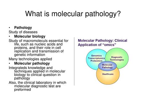 Ppt Molecular Pathology Effect Of Mutations Powerpoint Presentation