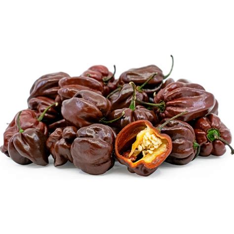 Hot Chili Pepper Habanero Chocolate 10 Seeds Capsicum Chinense