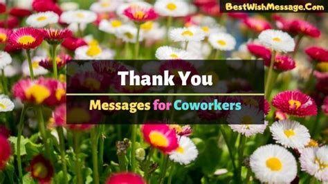 210 Thank You Messages For Coworkers Appreciation For Colleagues