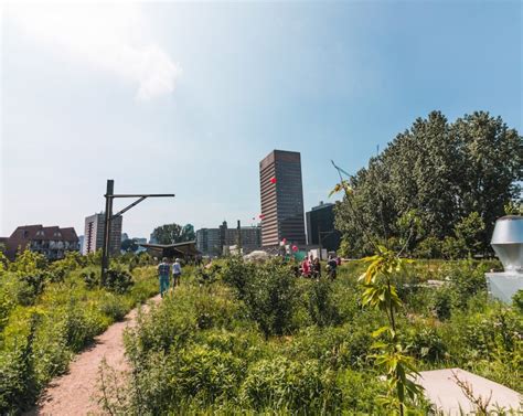 Eten Drinken Weekends In Rotterdam