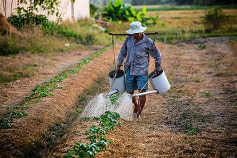 Los Retos Del Uso Agrícola Del Agua Mx