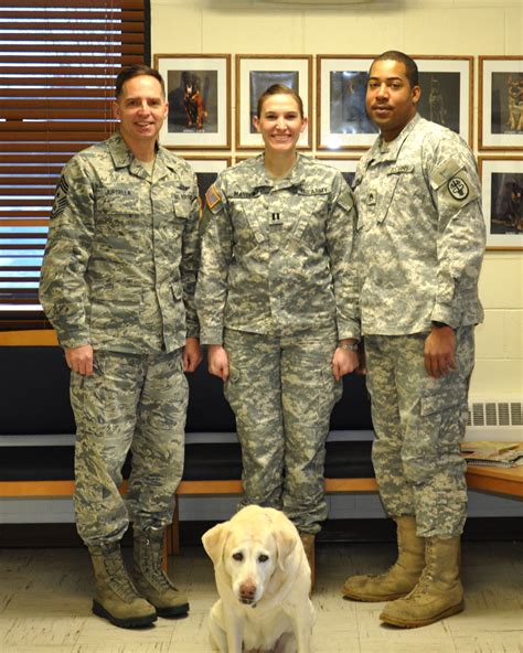 andrews afb veterinary clinic 4
