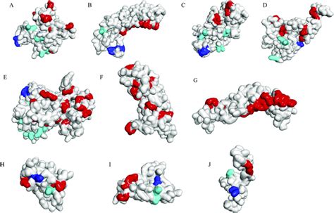 Conformational B Cell Epitopes Prediction For The Final Multi Epitope