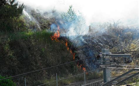 Entra en vigor la prohibició de fer foc al bosc fins al 15 d octubre