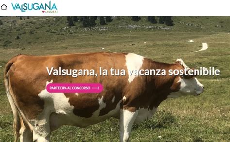 Concorso Fatti Mandare In Valsugana A Prendere Il Latte Vincimi It