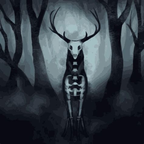 Deer Skeleton  Deer Skeleton Shadow Discover And Share S