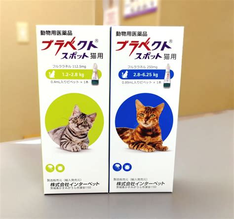 猫用の3ヶ月効くノミダニ予防薬『ブラベクトスポット』新発売！ オークどうぶつ病院／オークどうぶつ病院けやき（福岡市）犬・猫・エキゾチックの