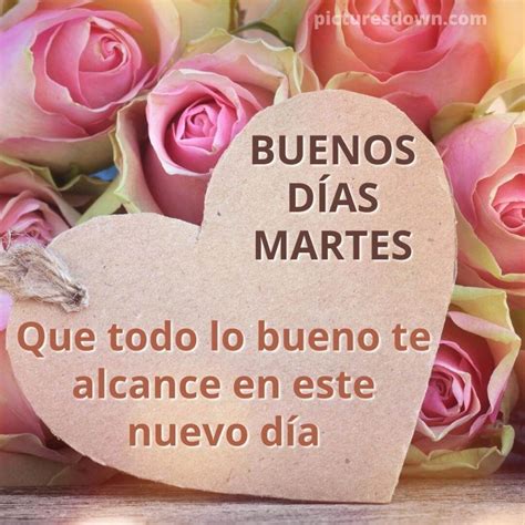 Buenos D As Martes Amor Mio Imagen Rosas Rosadas