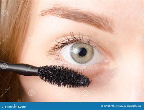 Female Eye Natural Brush Mascara Stock Photo - Image of black, facial: 109867914