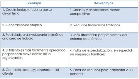 Peque As Y Medianas Empresas Antecedentes E Importancia De Las