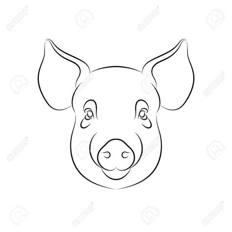 Pig face | Pig face drawing, Pig sketch, Pig drawing